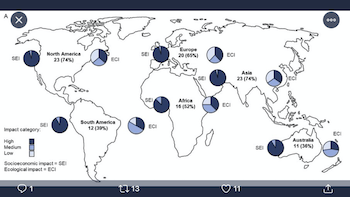 Economic Environment Impact